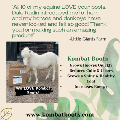 All Ten of My Equine LOVE Your Boots