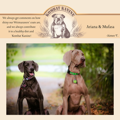 Thank you for such an amazing product