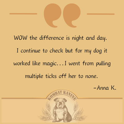 It's nothing short of an amazing miracle