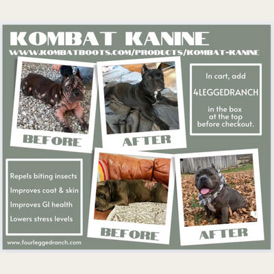 Rescue shelter uses Kombat Kanine